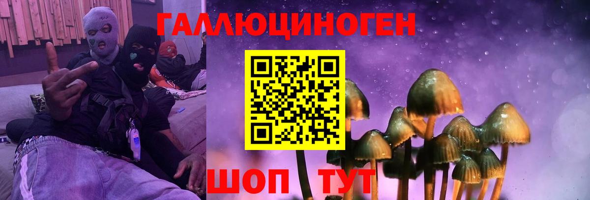 Галлюциногенные грибы мицелий Елизово